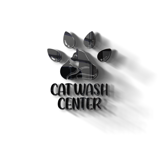 3d cat wash logo
