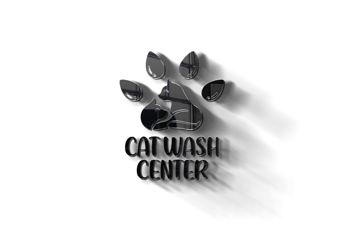 3d cat wash logo